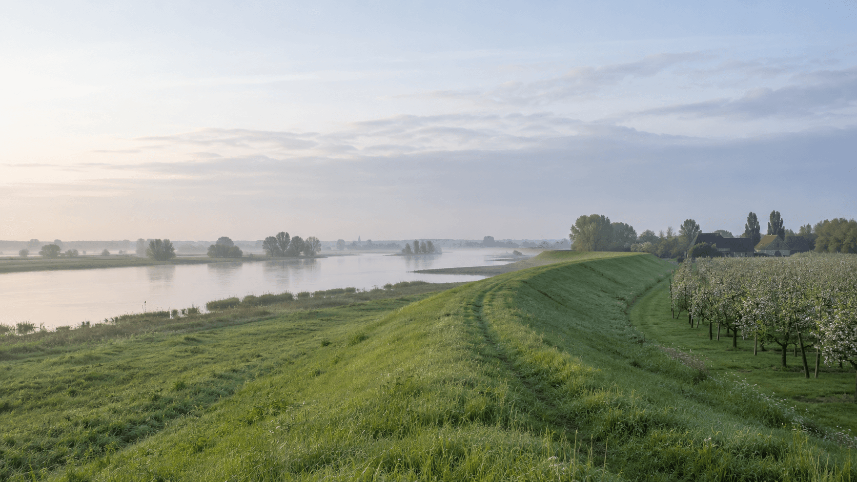 Dijk langs de rivier in de Betuwe in de ochtend